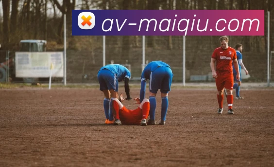 多媒体互动体验